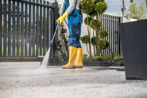 Best Local Pressure Washing Services  in Raubsville, PA
